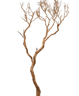 Decowood Manzanita sandblasted